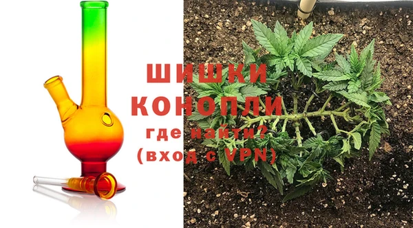 spice Верея