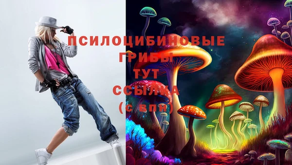 мескалин Бородино