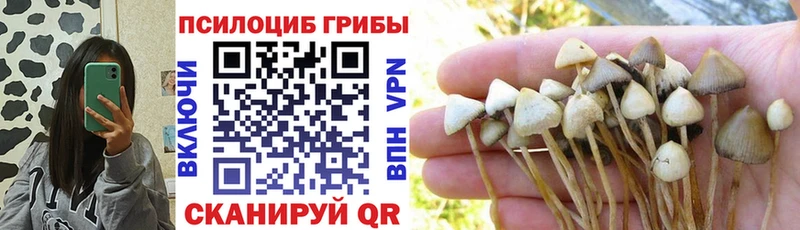 Псилоцибиновые грибы мухоморы  Купить где  Карачев 