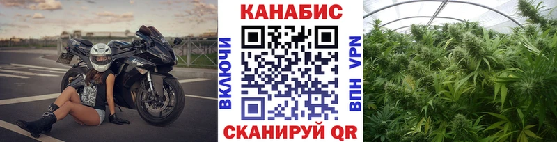 Купить  Карачев  Бошки Шишки гибрид 